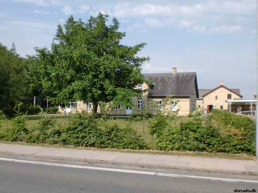 * Image 1