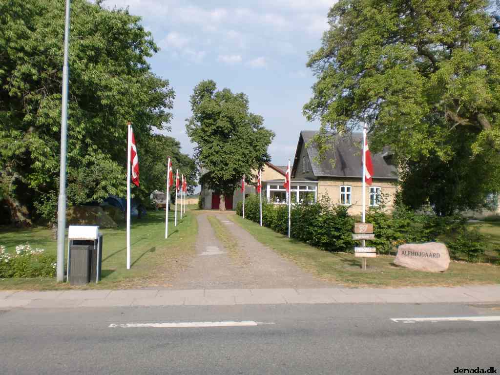 * Image 4