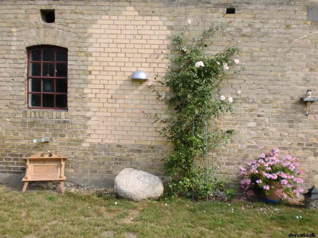 * Image 30