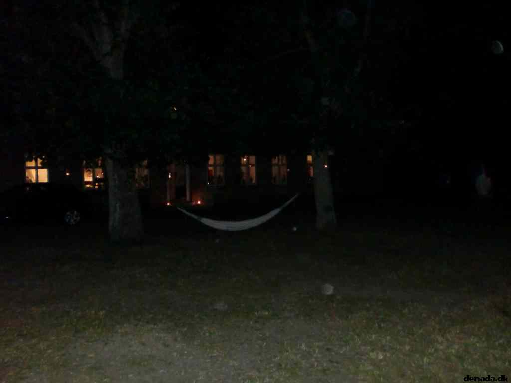 * Image 275