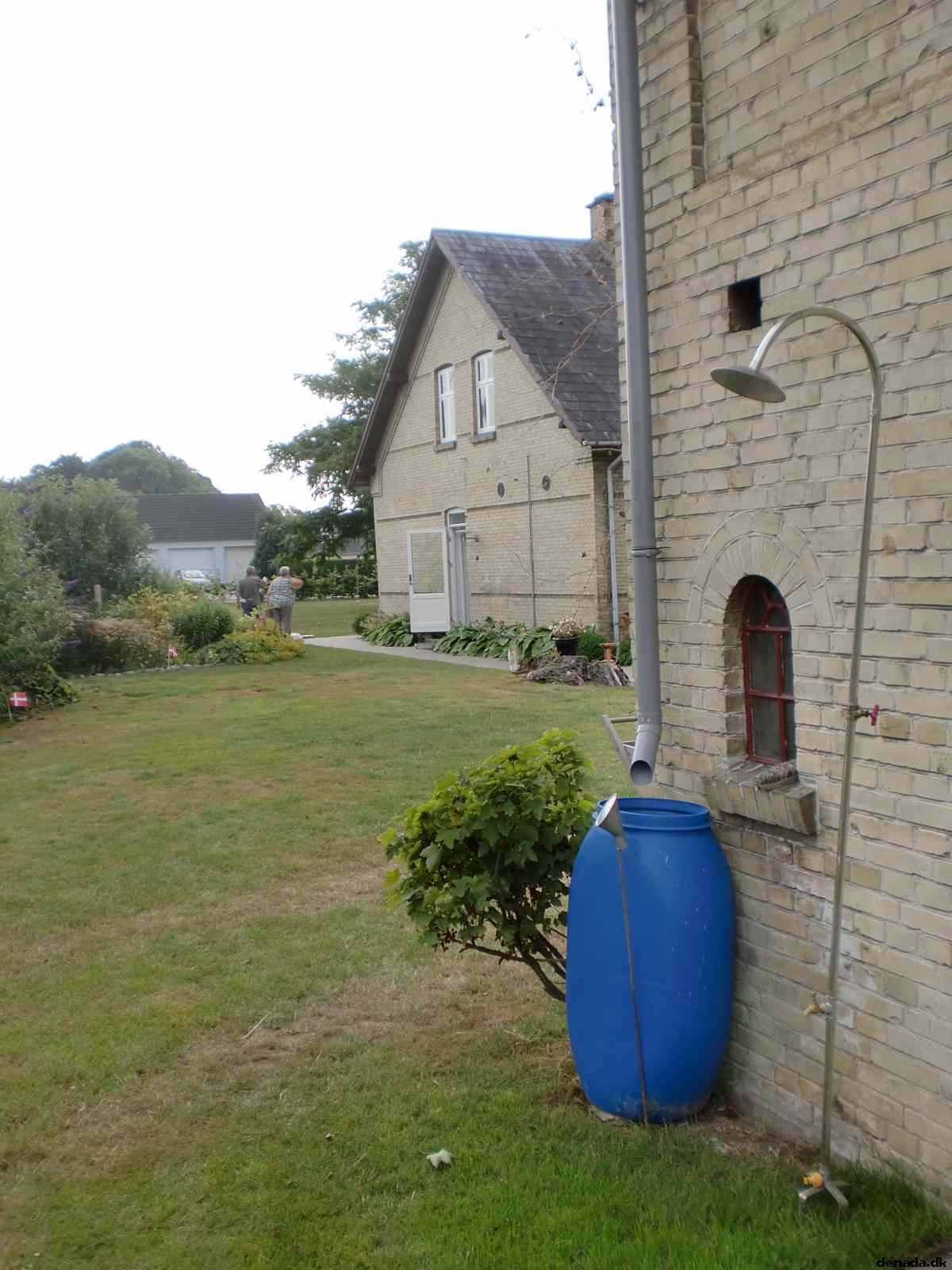 * Image 12