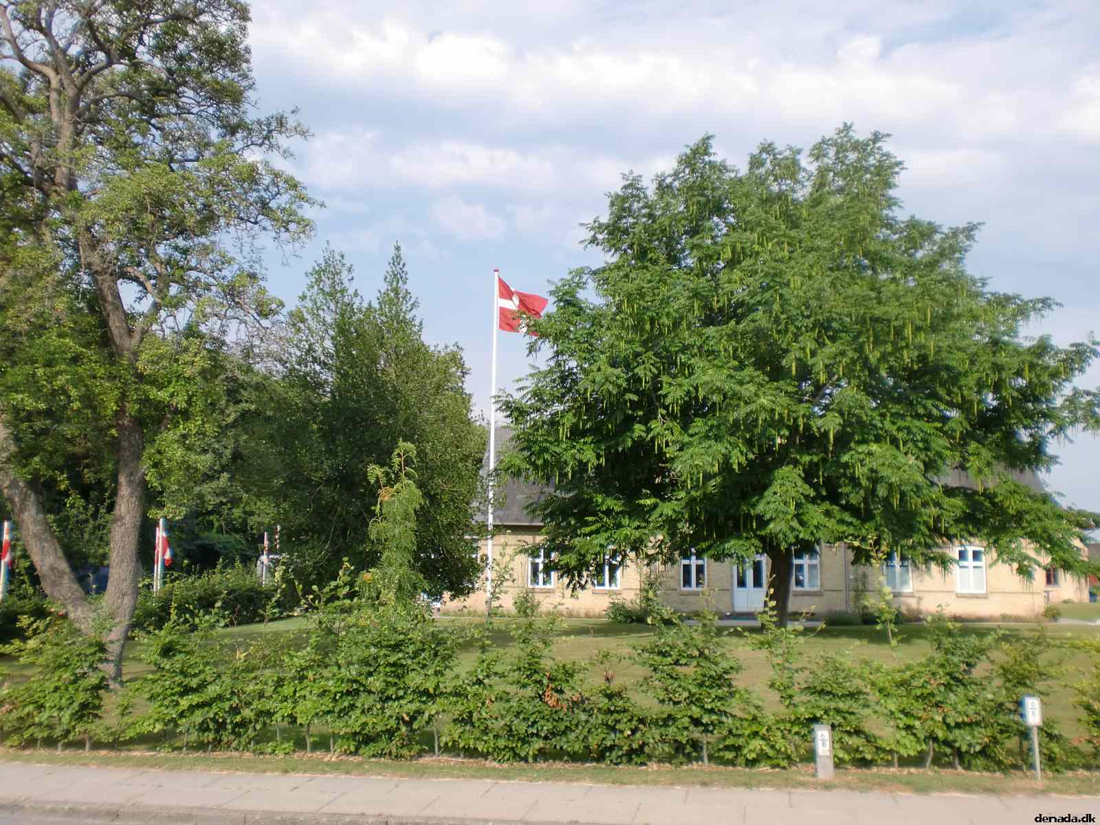 * Image 2