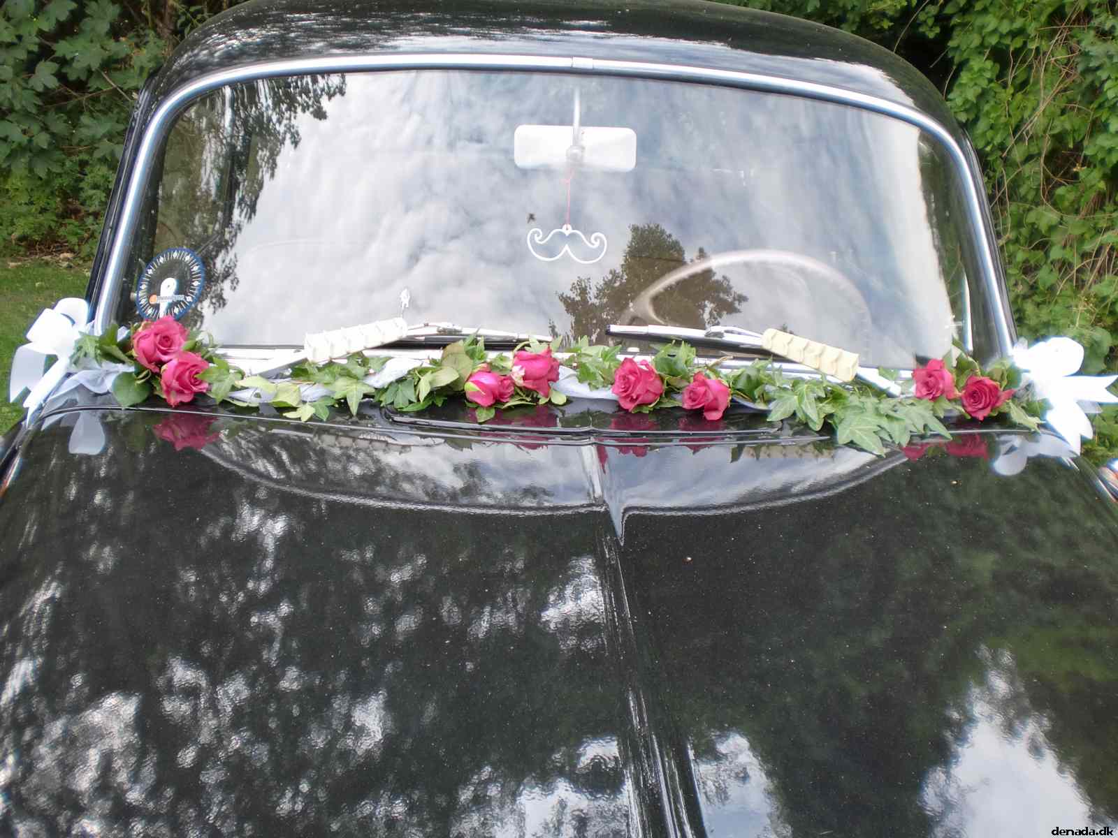 * Image 33