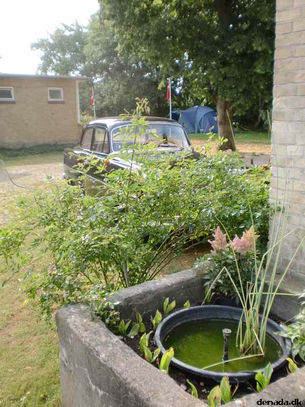 * Image 14