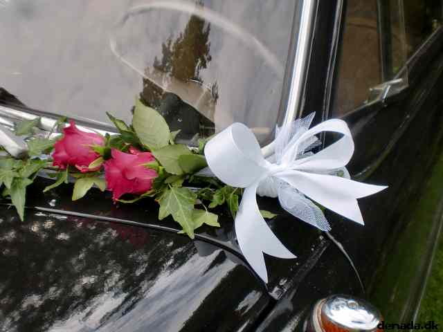 * Image 34