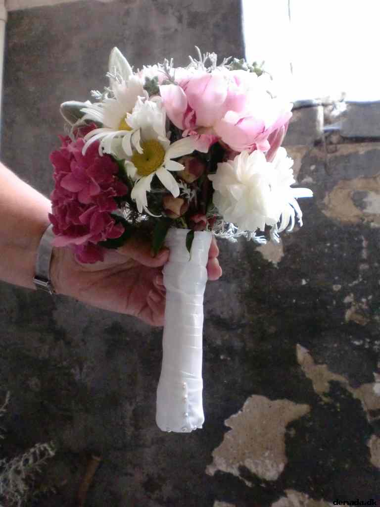 * Image 46