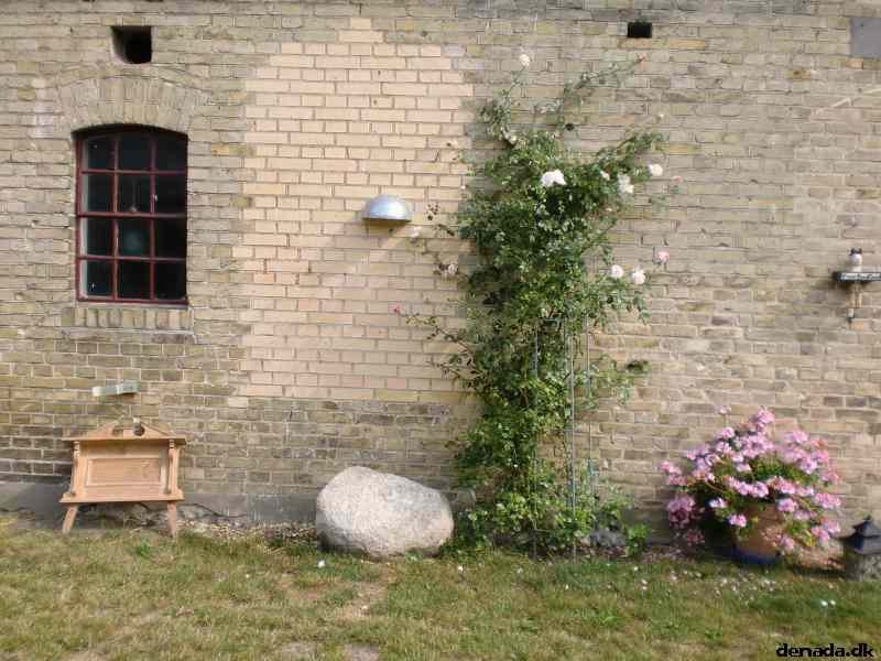 * Image 30