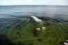 201308040982m.jpg - 2013:08:04 17:33:14