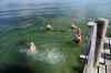 201308041001m.jpg - 2013:08:04 17:35:19