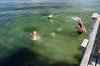 201308041002m.jpg - 2013:08:04 17:35:25