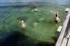 201308041003m.jpg - 2013:08:04 17:35:26