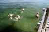 201308041008m.jpg - 2013:08:04 17:35:35
