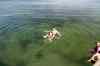 201308041010m.jpg - 2013:08:04 17:36:06