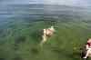 201308041011m.jpg - 2013:08:04 17:36:10