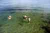 201308041023m.jpg - 2013:08:04 17:39:37