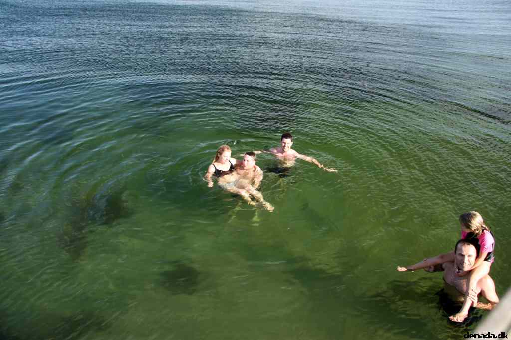* Image 48