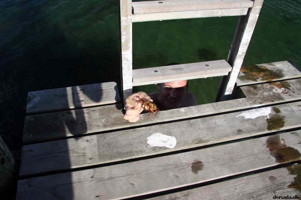 * Image 53