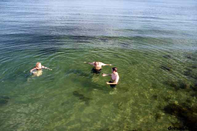 * Image 52