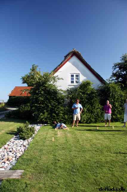 * Image 21