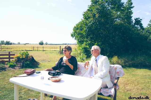 * Image 34