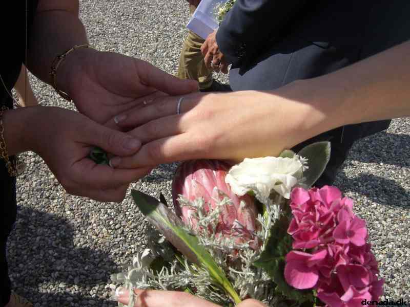 * Image 26