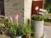 CIMG6704.JPG - 2013:08:03 08:01:37