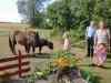CIMG6790.JPG - 2013:08:03 14:14:07