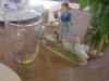 CIMG6814.JPG - 2013:08:03 15:15:46