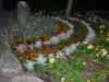 CIMG6943.JPG - 2013:08:03 19:51:31