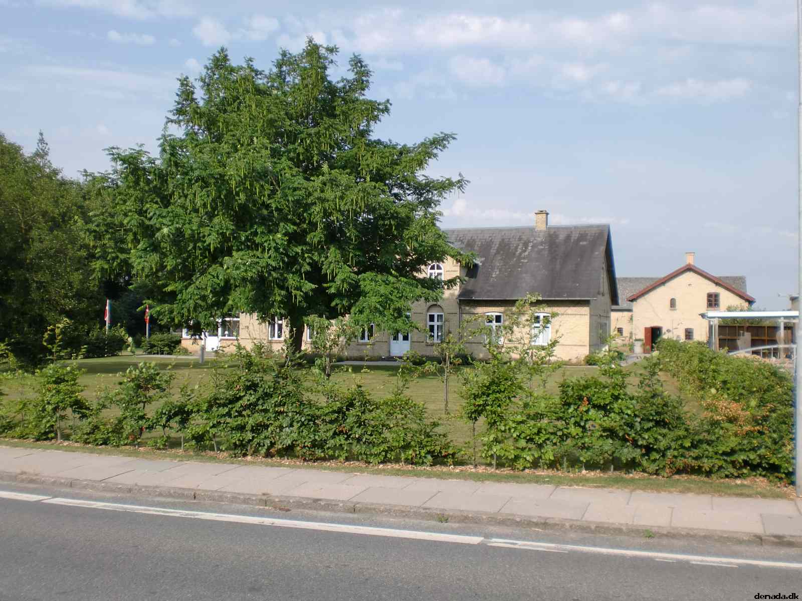 * Image 1