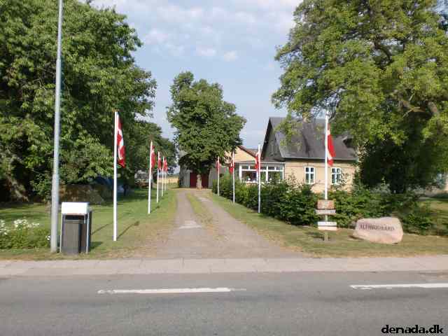 * Image 4