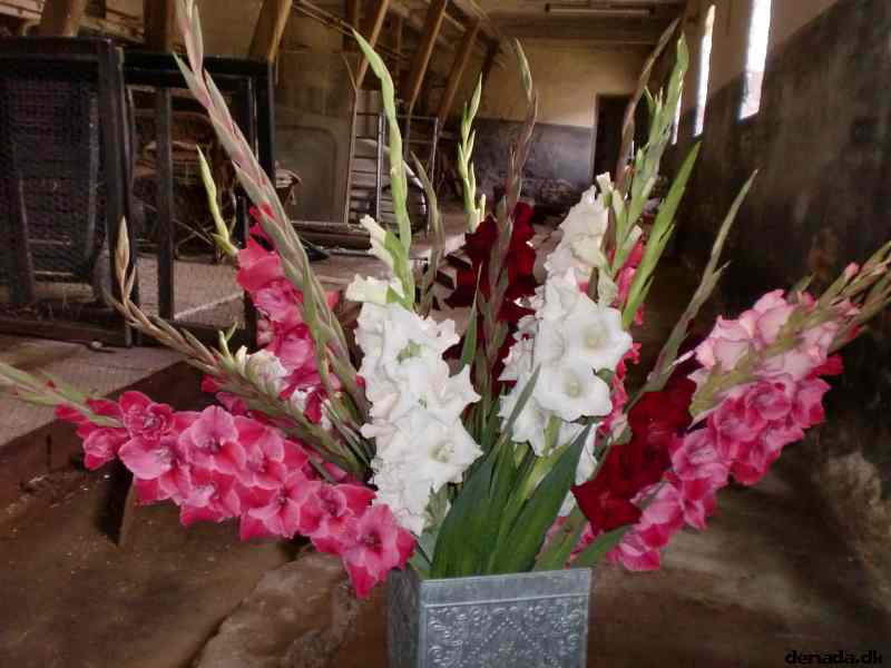 * Image 48