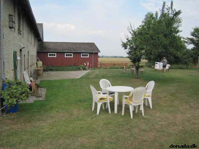 * Image 2