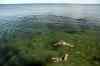 201308040983m.jpg - 2013:08:04 17:33:24
