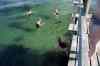 201308040995m.jpg - 2013:08:04 17:34:26