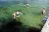 201308041004m.jpg - 2013:08:04 17:35:30