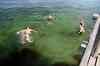 201308041006m.jpg - 2013:08:04 17:35:32