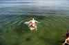 201308041009m.jpg - 2013:08:04 17:36:01