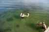201308041018m.jpg - 2013:08:04 17:36:21