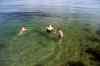 201308041021m.jpg - 2013:08:04 17:39:29