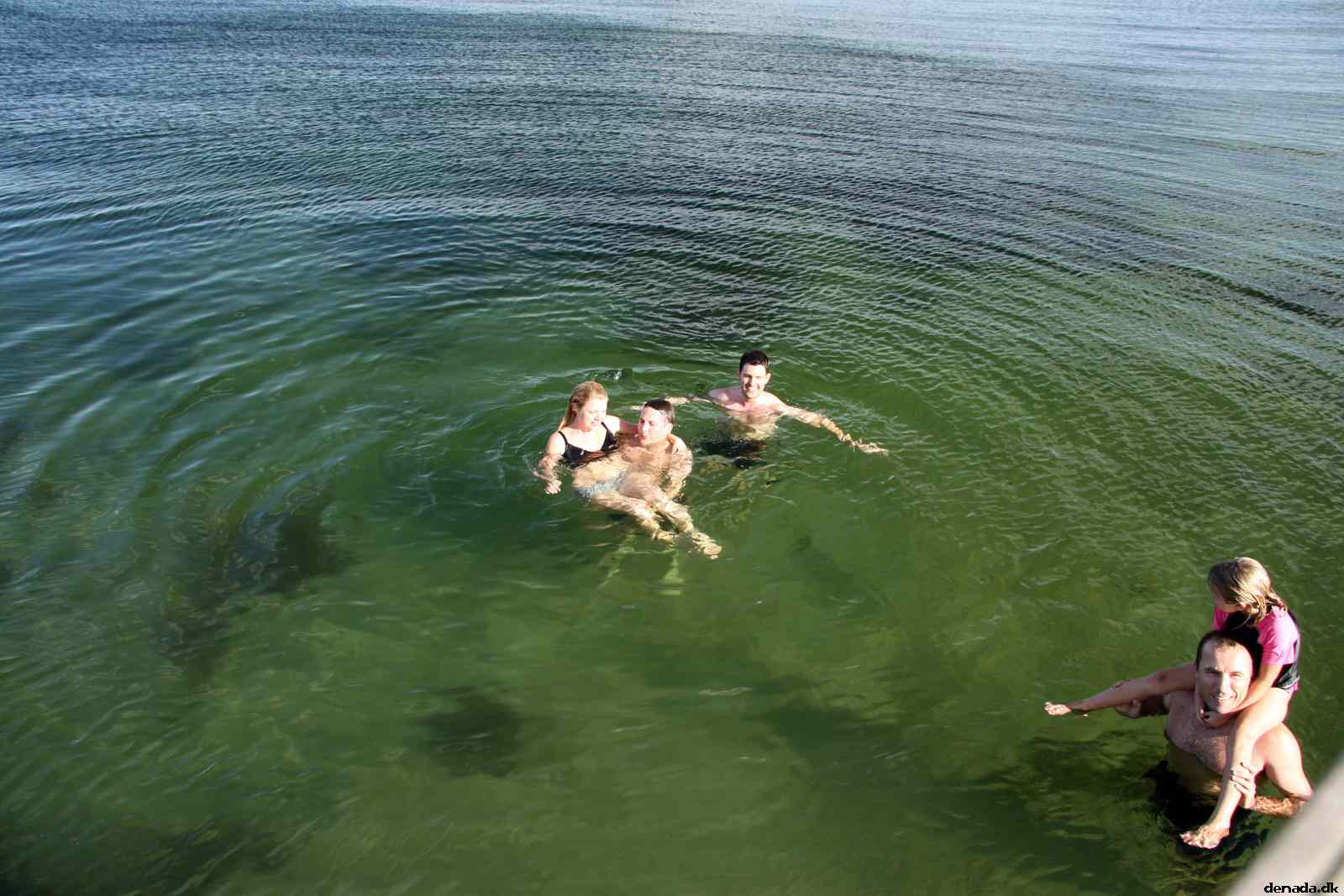 * Image 48