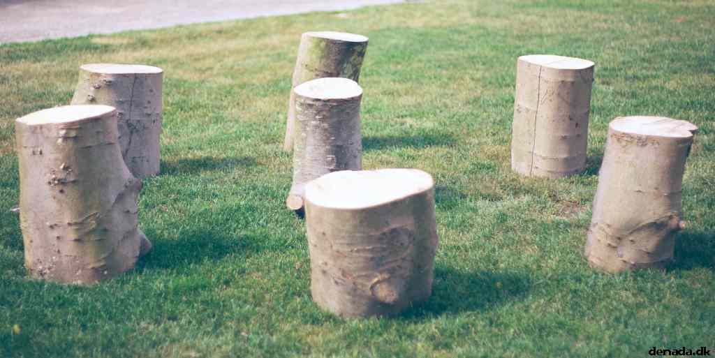* Image 28