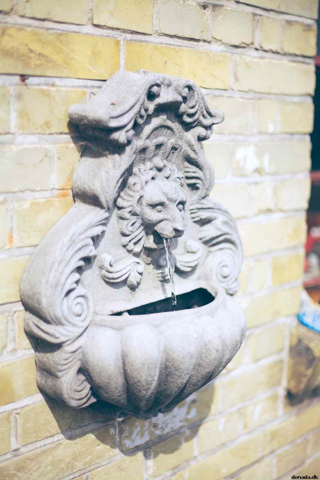 * Image 29