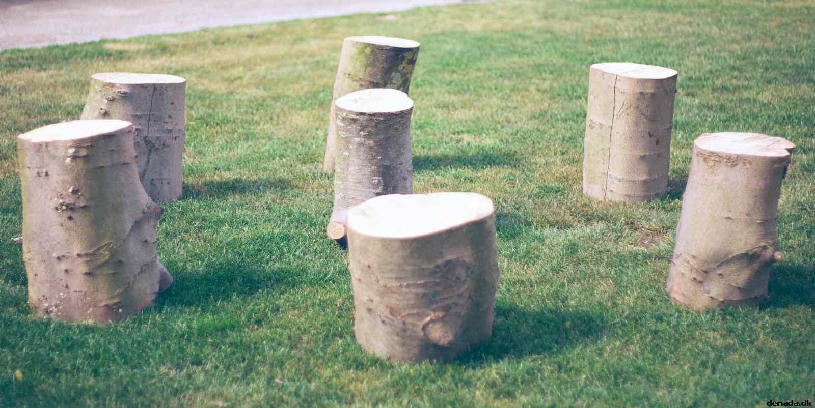 * Image 28
