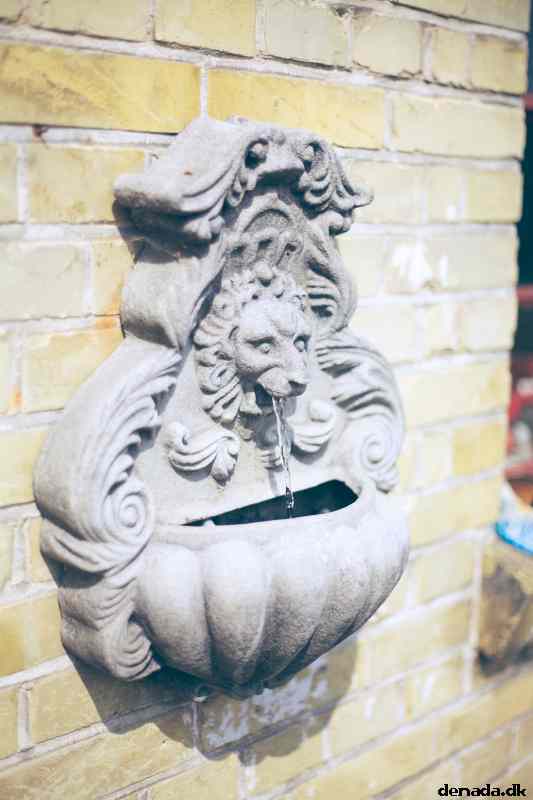* Image 29