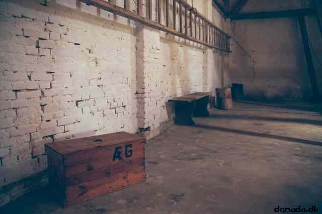 * Image 41