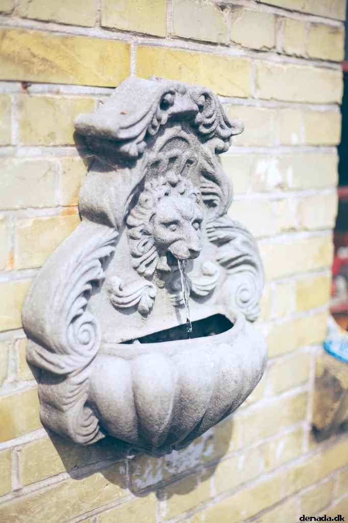 * Image 29