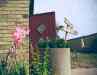 udsmykning023.jpg - 2013:08:03 11:37:55