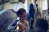 middag081.jpg - 2013:08:03 19:53:55