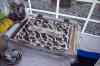 20140513_2989m.jpg - 2014:05:13 07:16:28
